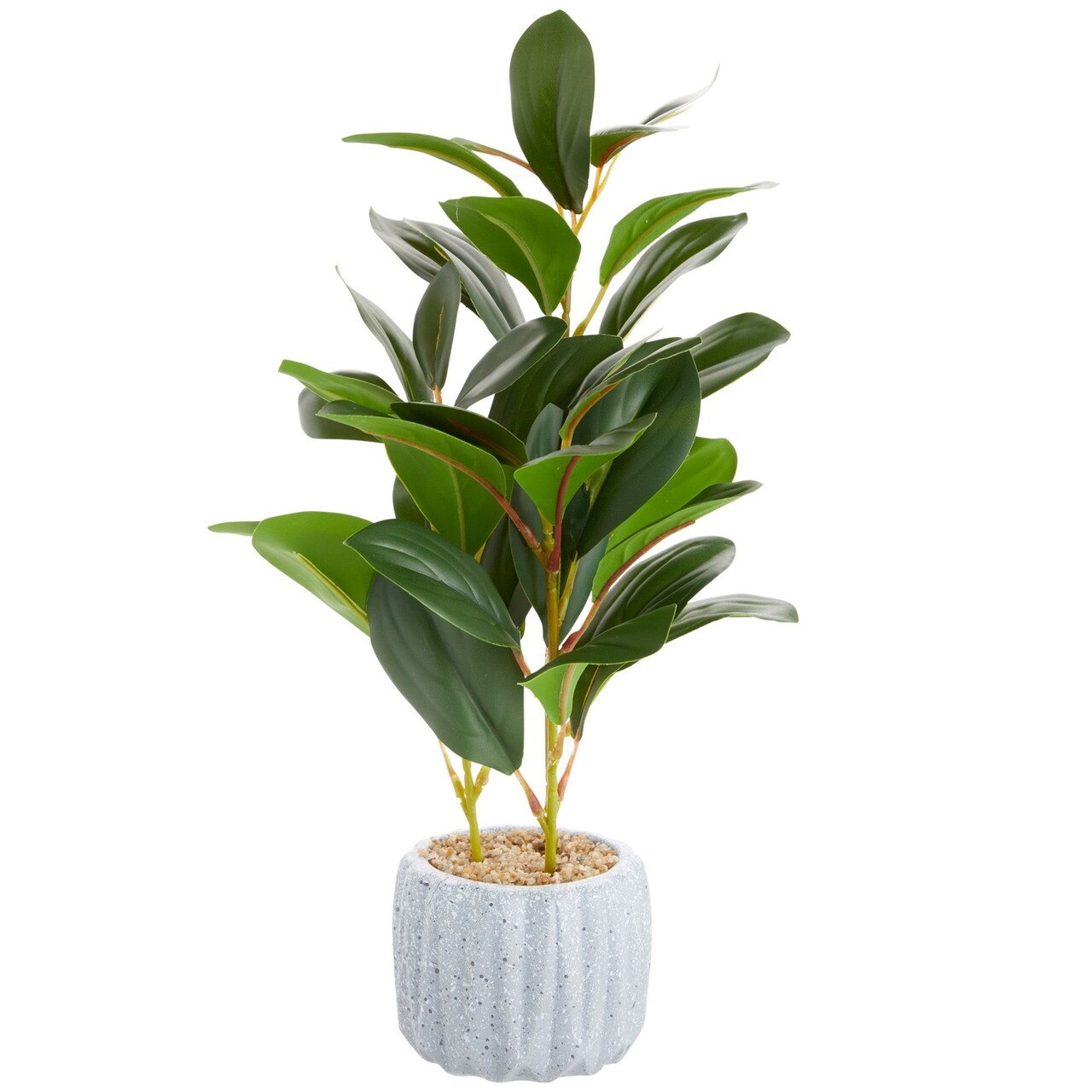 Small Artificial Ficus Plant Potted in Small Gray Cement Planter for Home Decor (11.8 In)